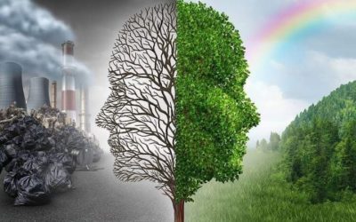 Social Equity Benefits